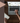 Recherche de mot-clefs pour le SEO